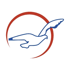 Airline Logo